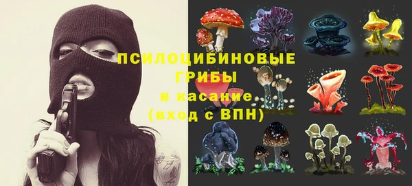 а пвп мука Мегион