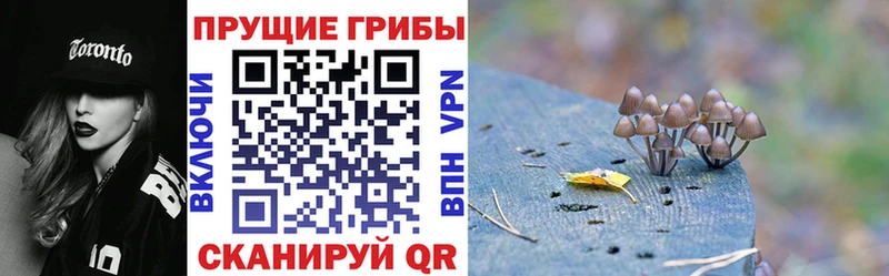 Галлюциногенные грибы GOLDEN TEACHER Николаевск-на-Амуре